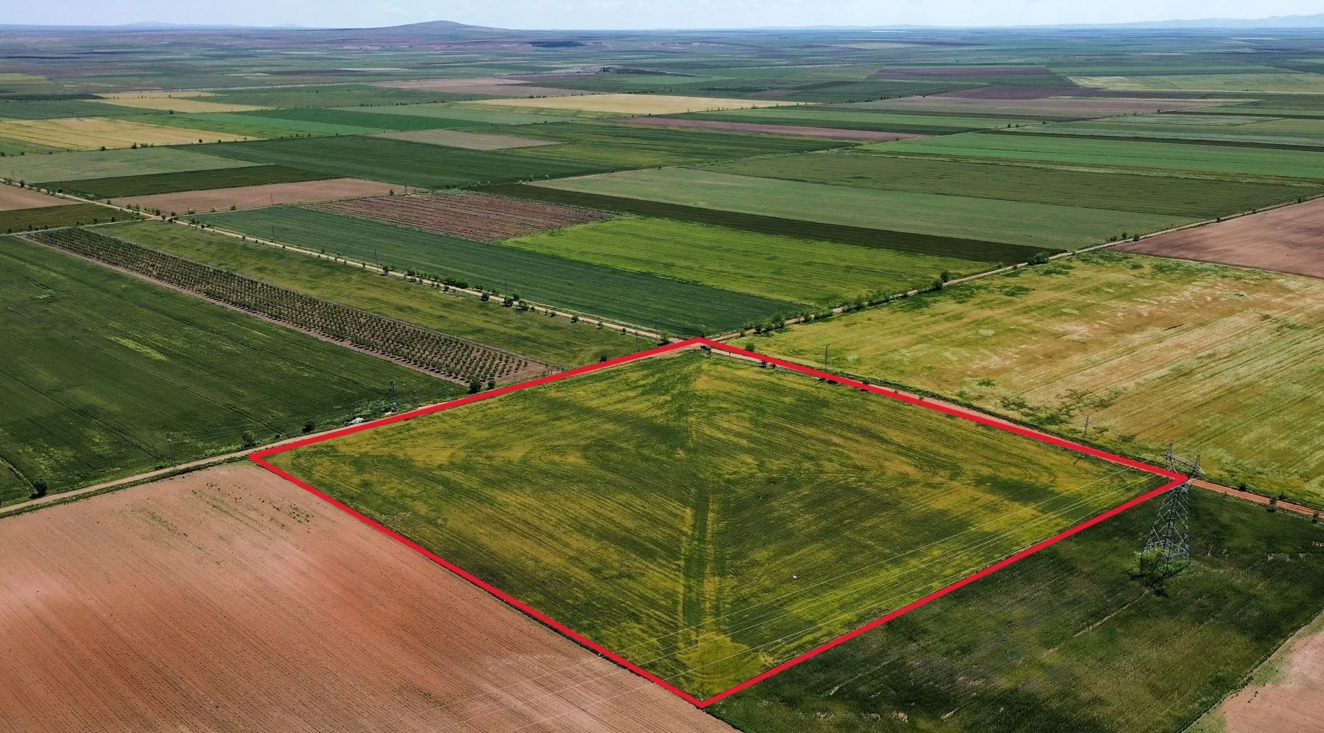 KONYA SARAYÖNÜ KARATEPE'DE SATILIK 33.995 M2 MÜSTAKİL TARLA